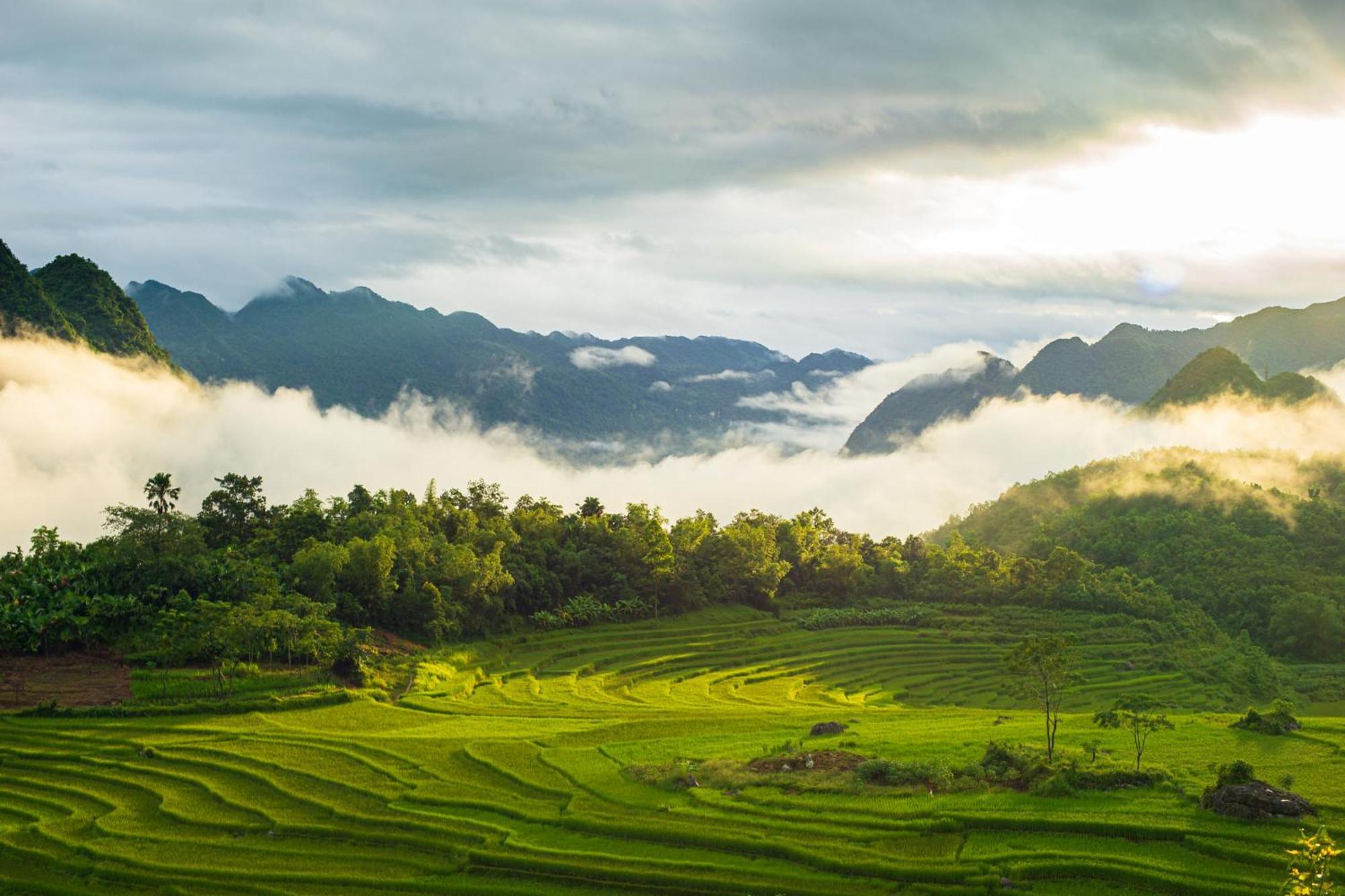 Oh Pu Luong Homestay Huong Ba Thuoc Eksteriør billede